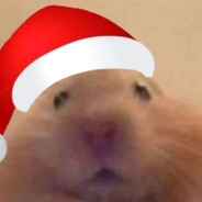 안녕하세요