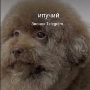 Мухтар Яйцегрыз