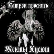 Упал намоченый