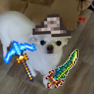 terrk9