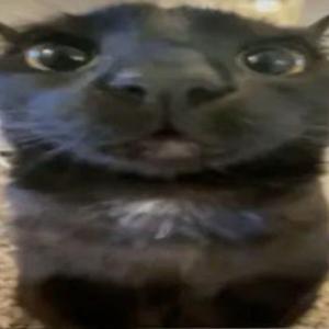 Sosiskakiller Yiga