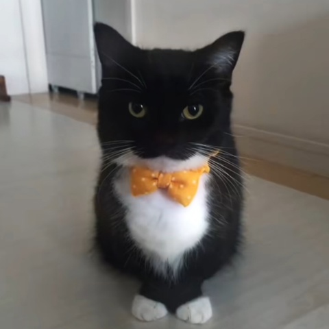 Иван Поздеев