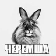 черемша