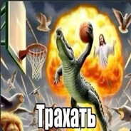 МАКТРАХЕР(4)