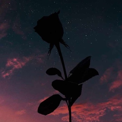 Alone Alone