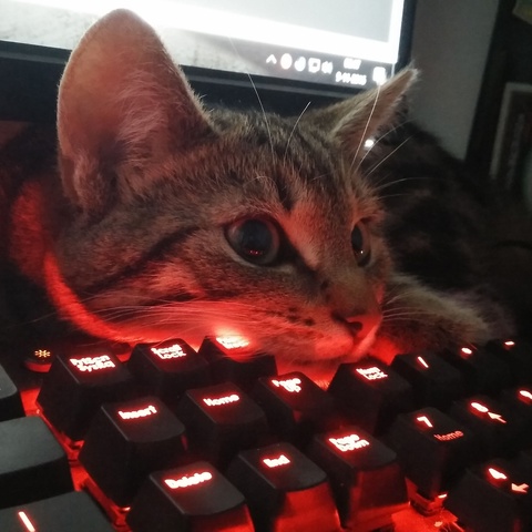 My Name Is Nekto