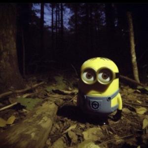 yodel