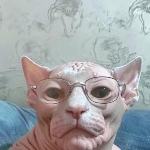 Люблю Дору