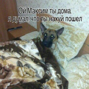 чител228
