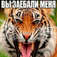 балбес(3)