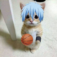 kurosha gato