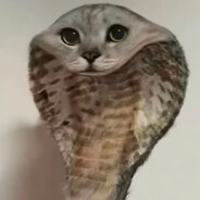 0 поражений