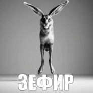 ЗЕФИР