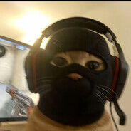 KOTIKZ