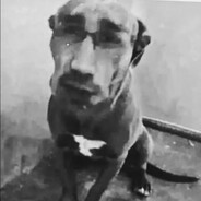 Bobby Doggy
