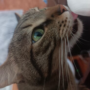 ❤Котииик❤