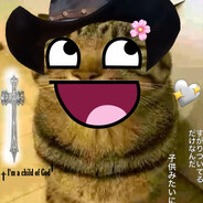 ????????????_???????????? ????