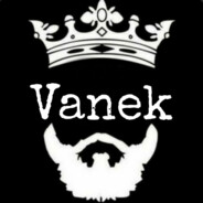 Vanek(1)