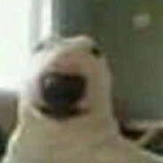 Bloxzin