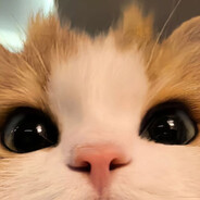 ????????????