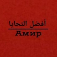 Amyr(1)