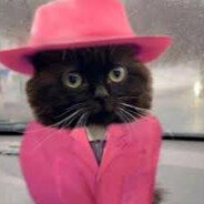 MISTER X