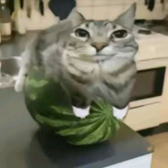 Шаурмичныйпотрош