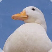 ????????????