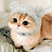 HE B FORME | ҉prettycat