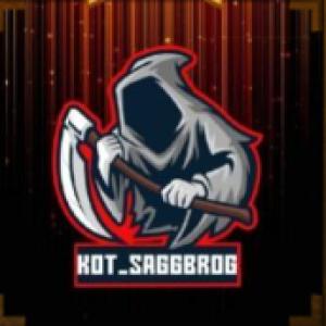 Kot_Saggbrog