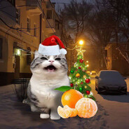 китаеза
