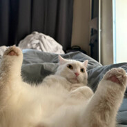 немытая пиздища