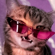 ♱𝖖𝖚1𝖟𝖊𝖊♱