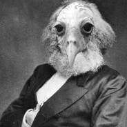 вездесрущий