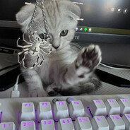 我從窗外拉屎 我知道翻