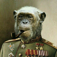 VSRF медалист